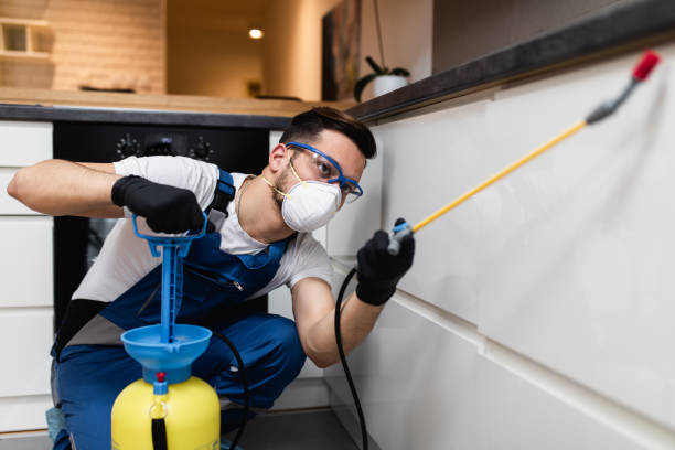 Best Residential Pest Control  in Mountain Road, VA