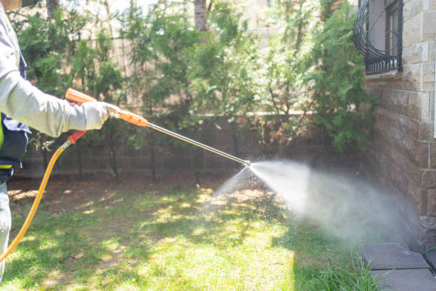 Best Cockroach Control Services  in Mountain Road, VA