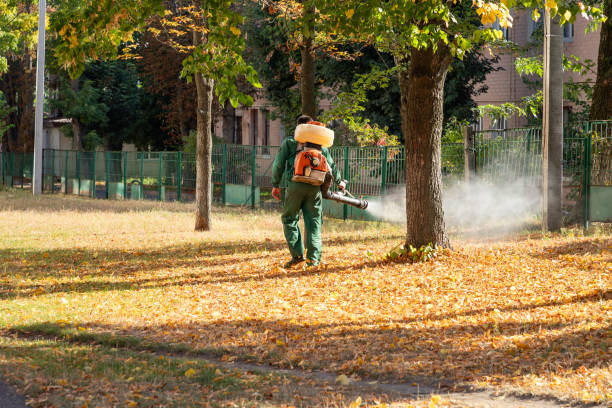 Best Emergency Pest Control  in Mountain Road, VA